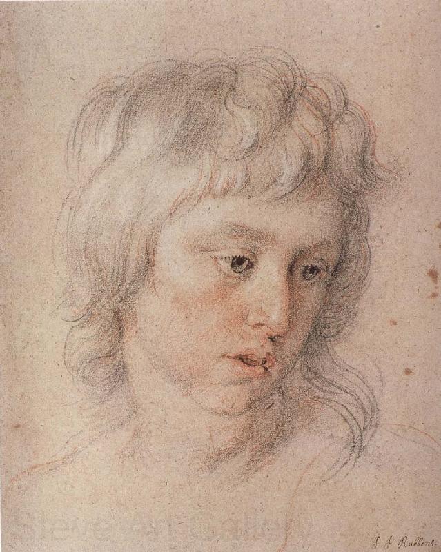 Peter Paul Rubens Baladi-s son France oil painting art